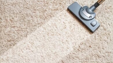 Carpet Maintenance and Stain Removal