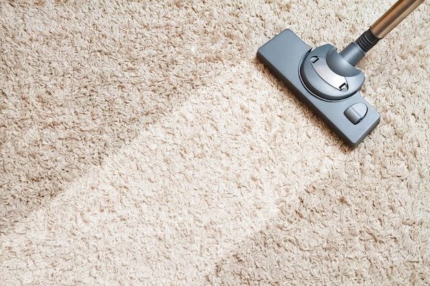 Carpet Maintenance and Stain Removal